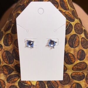 New never worn Elegant light Blue with silver points pierced Stud Earrings